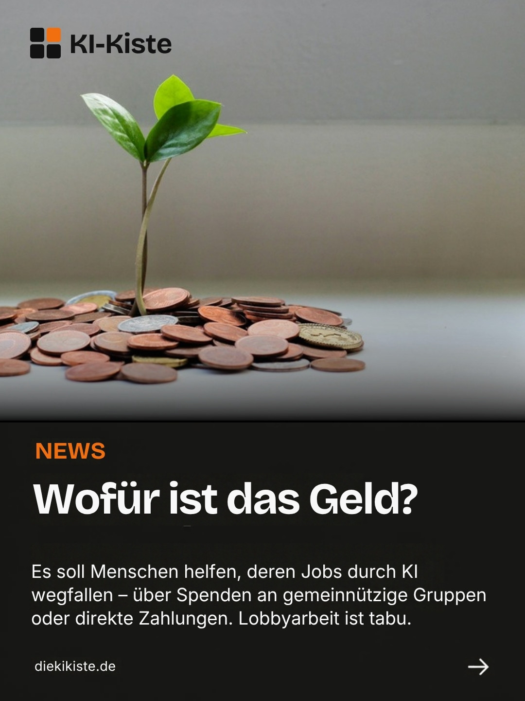 Folie: Wofür ist das Geld?